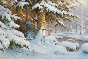 Winter in the Forest